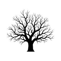 Fototapeta premium Black silhouette of a deciduous tree with intricate leafless branches and a thick trunk, isolated on a white background, representing a bare winter tree for nature design elements.