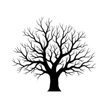 Black silhouette of a deciduous tree with intricate leafless branches and a thick trunk, isolated on a white background, representing a bare winter tree for nature design elements.
