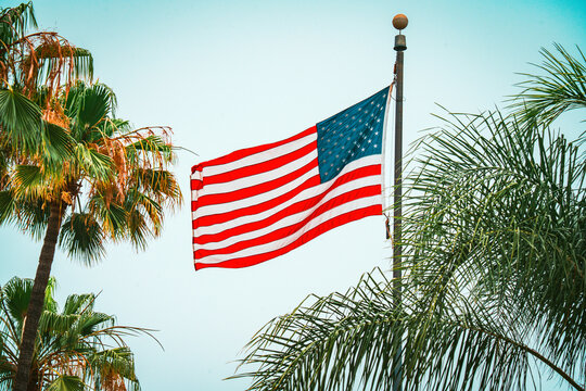 American flag waving proudly against a clear sky with palm trees