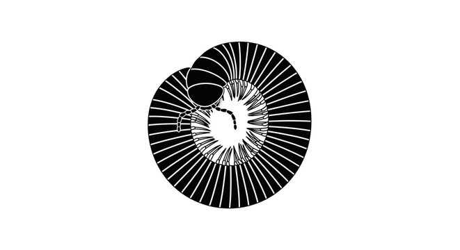 Centipede Millipede Coil Vector Silhouette