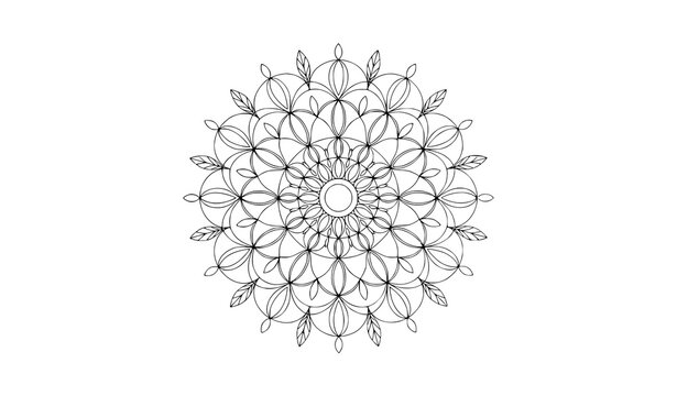 Minimal leaf mandala radial symmetry clean ornamental black and white outline vector design