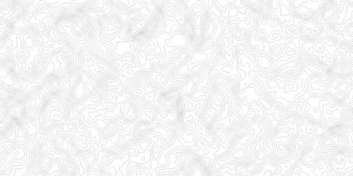 Abstract topographic map Intricate Line Patterns in light gray with thin contour lines and subtle shading effects.