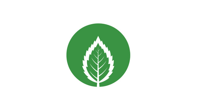 Green leaf logo on circle background.