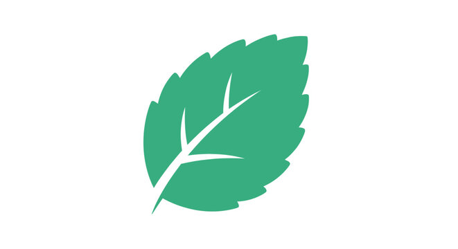 Green leaf illustration with veins.