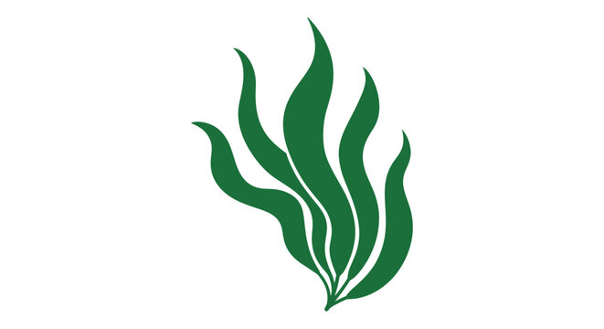 Green seaweed aquatic plant illustration.