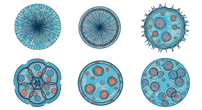 Collection of six circular illustrations showing biological cells and microscopic organisms with core structures.