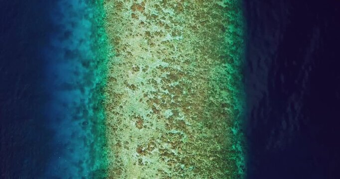 Tropical Reef Line Aerial Top Down Ocean Background 4K