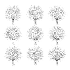 Fototapeta premium Flowers bouquet set with intricate line art and detailed petals featuring floral, stems, leaves with black and white and illustration elements for