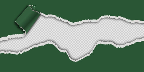 Fototapeta premium Green torn paper with ripped edge and curl. Isolated vector illustration of dark green paper sheet with ragged borders and curled corner on transparent background for message and design mockup.
