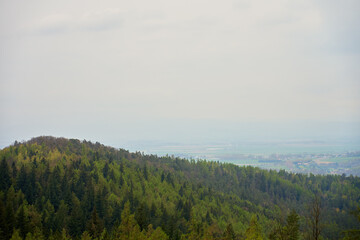 Fototapeta premium Wide landscape view of a green forested hill with a misty valley and farmland under cloudy sky. Concept of nature travel countryside scenery and rural environment