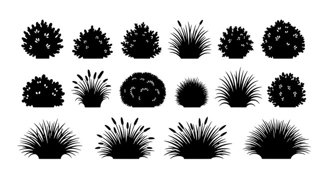 Plants silhouette set with various leaf shapes and textures featuring nature, botanical, garden with flora and vegetation elements for greenery,