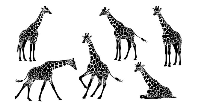 Set of Giraffes Silhouettes in Various Poses