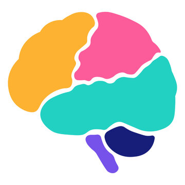 Bright multicolor brain illustration with abstract shapes representing creativity, thinking, innovation, and modern cognitive science concepts on a clean background.