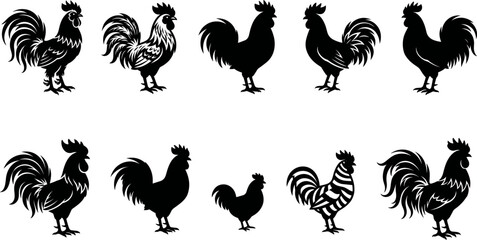Black rooster cockerel silhouette collection with eight pose and style variations from ornate detailed to bold minimal vector illustration © Shakhawat