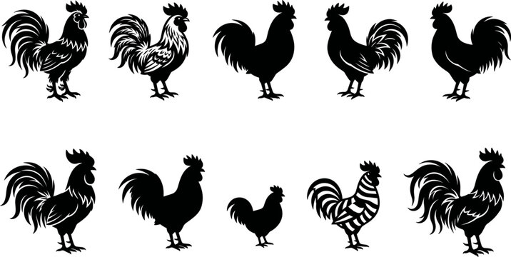 Black rooster cockerel silhouette collection with eight pose and style variations from ornate detailed to bold minimal vector illustration