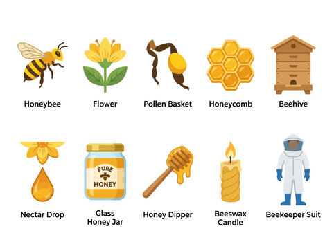 Honeybee Flower Honeycomb Beehive and Beekeeping Symbols for Honey Production
