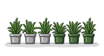 Fototapeta premium Potted Succulents on White Background
