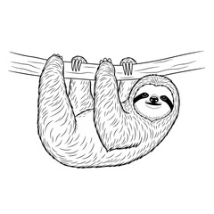 Fototapeta premium Line Art Sloth Hanging from a Branch