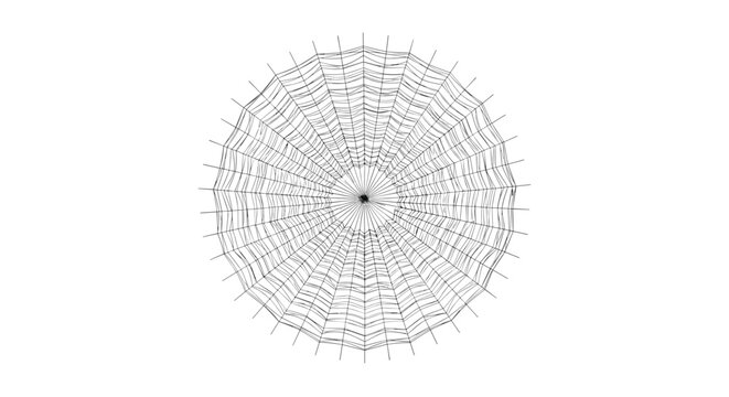 Extremely detailed circular spider web with fine delicate threads radiating from the center against a clean white background.