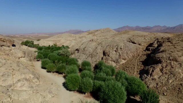  Verdant valley with scattered green trees and shrubs, surrounded by arid, rocky hills under a clear blue sky, illustrating a vibrant oasis in a dry, desert-like environment. 
