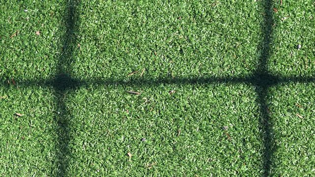 Close-up green grass, natural greenery texture of lawn garden. Stripes after mowing lawn court. Concept natural green background, lawn for training football pitch, Golf Courses, green lawn pattern.