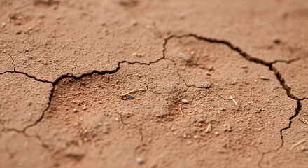 Fototapeta premium Dry cracked earth with moisture in desert-like terrain