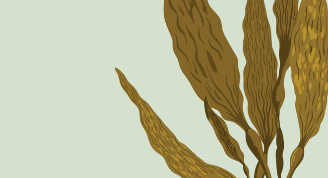 Close-up illustration of long brown kelp or seaweed fronds with textured surfaces swaying in an underwater environment.