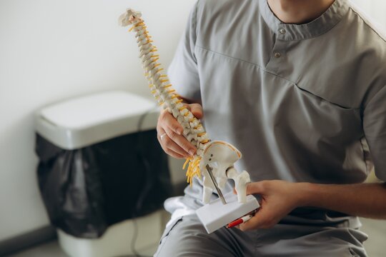 Chiropractor explaining spine model for back pain treatment