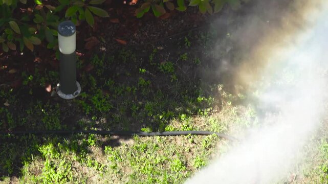 Pest control spray treatment in village gardens on the outskirts of the city outdoor