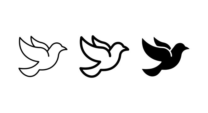 simple black and white flying birds in motion