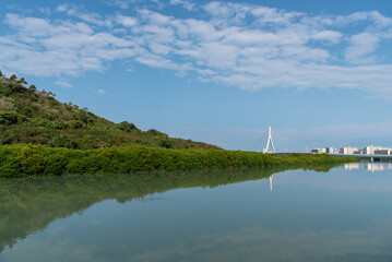 湖面に反射するラムサール条約登録湿地の沖縄の漫湖のマングローブと、とよみ大橋 © Ta-c