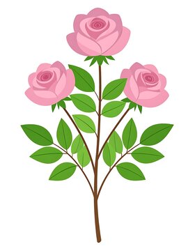 Pink Roses on a Single Stem.
