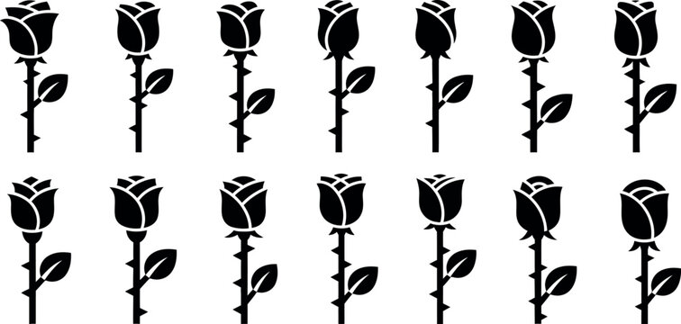 Black roses on white background, repeating pattern floral silhouettes flowers