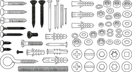 Detailed set of screws bolts nuts washers anchors and fasteners hardware collection isolated vector illustration for construction use © MdShah