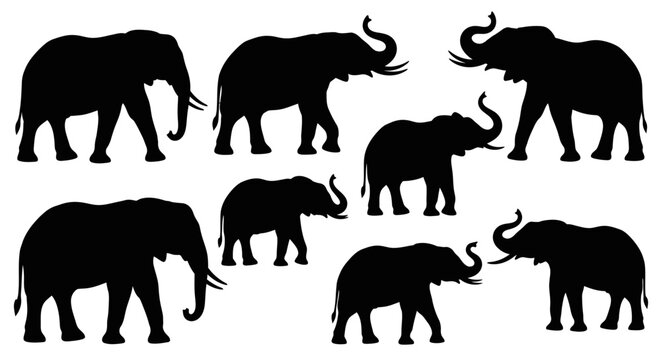 Collection of black elephant silhouettes on a white background