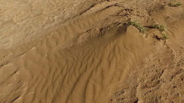  Beautiful pattern of wind ripples on a sandy desert surface showing natural texture and curves. Detailed shot of sand dunes in a remote wilderness area under bright sunlight and hot conditions. 