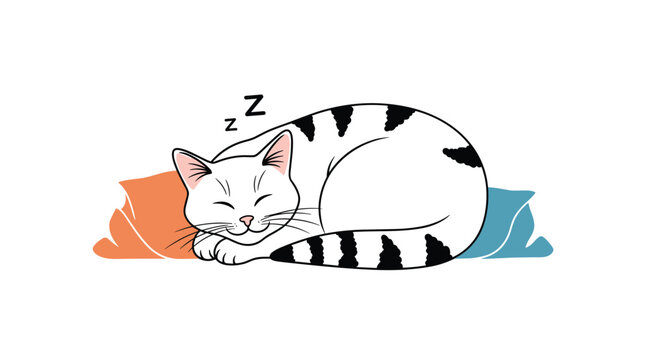 Cute white cat with black stripes curled up and sleeping soundly on soft colorful pillows in a cozy home environment.