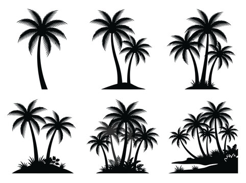 Palm Tree Silhouette Set - Collection of Tropical Coconut Trees, Exotic Islands, and Summer Beach Elements for Graphic Design and Logo Templates