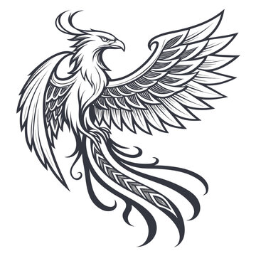 Mythical phoenix bird in flight with elegant curved feathers mythical creature mythology illustration powerful graceful mystical detailed monochrome isolated majestic legendary firebird