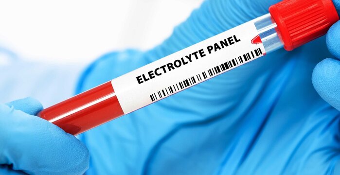 Electrolyte Panel