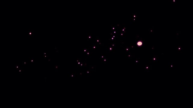 Animation pink light sparkle particle on black background.