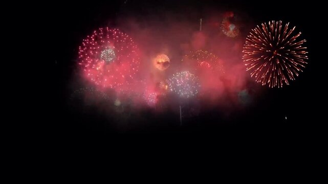 Realistic pink firework on black background.