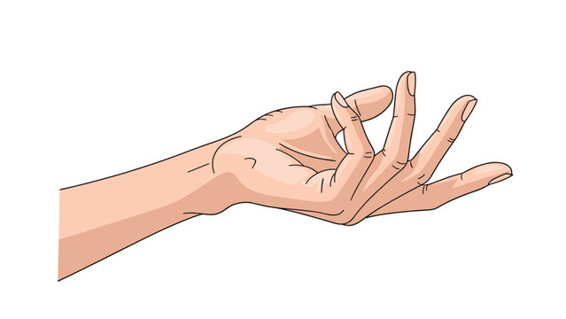 Detailed illustration of an open human hand with palms facing up and fingers slightly curved in a receptive or offering gesture.