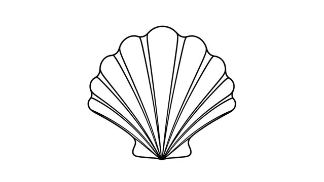 Simple black line art drawing of a classic seashell shows a symmetrical fan shape with several radiating ridges.