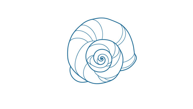 Dark blue line drawing of a spiral nautilus seashell with elegant curved patterns and a natural organic form on a plain and white background.