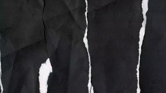 Torn black paper texture with ripped edges and white background reveal animated background