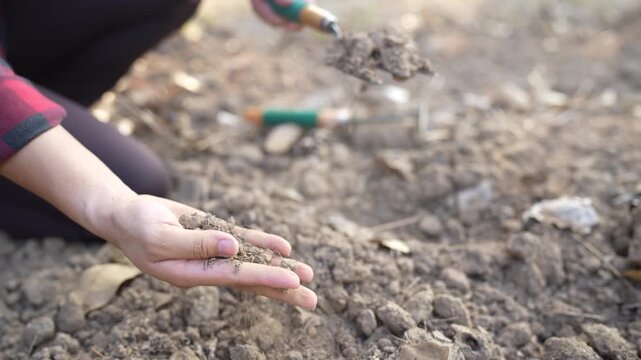 Hands examining soil with a small garden tool, highlighting soil quality, agriculture, and sustainable farming practices in an outdoor setting.