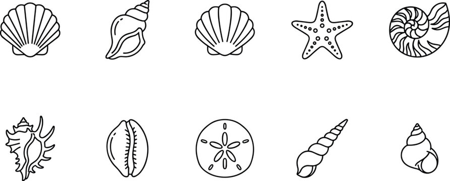 Sea shells and marine life outline icon set featuring starfish conch scallop nautilus for ocean nature travel beach tourism minimal UI vector design collection.