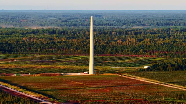 Solitary tower in a lush forest landscape