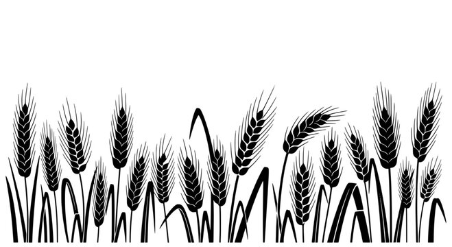 Wheat field silhouette pattern with tall grain stalks and minimal line art for rustic farm and harvest designs